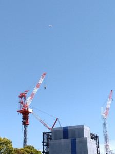 DSC_1101