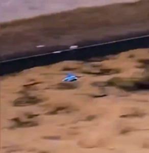 VID_20250203_225315_624_exported_2798